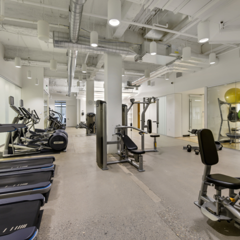 workbox downtown gym filled with lots of machines and exercise equipment