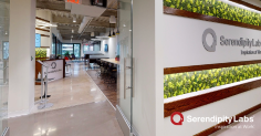St Louis, MO – Clayton
